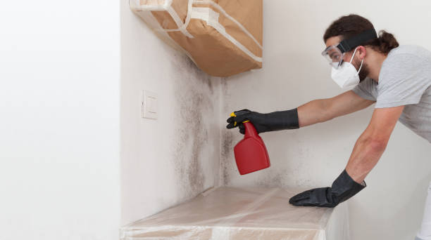 Professional Mold Inspection And Testing technician working in Monroe Township, NJ