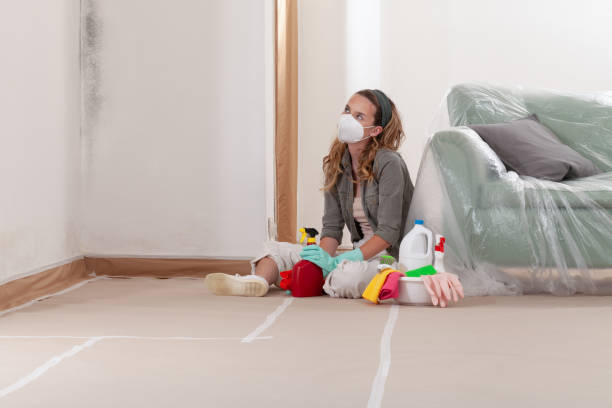 Reliable Mold Inspection And Testing contractor in Monroe Township, NJ by Car Mold Remediation